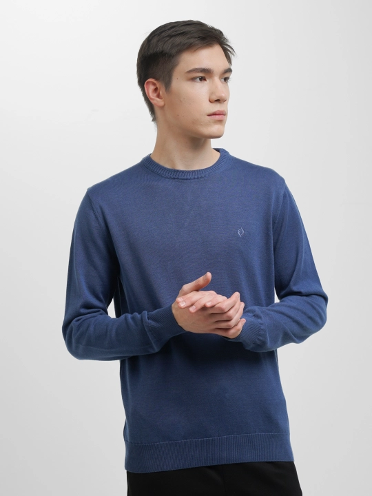 Мужской свитер Fabiani 3KE9TRK9320