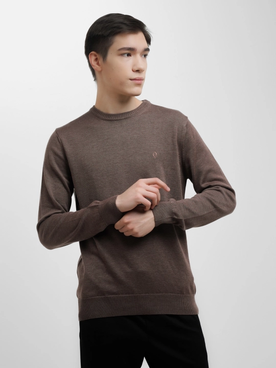 Мужской свитер Fabiani 3KE9TRK9320