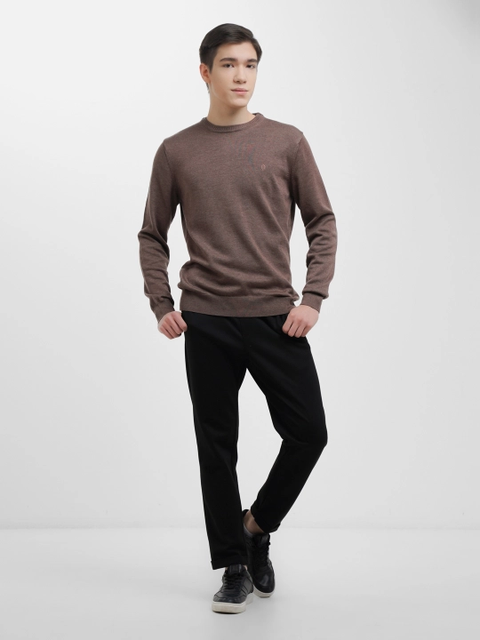 Мужской свитер Fabiani 3KE9TRK9320