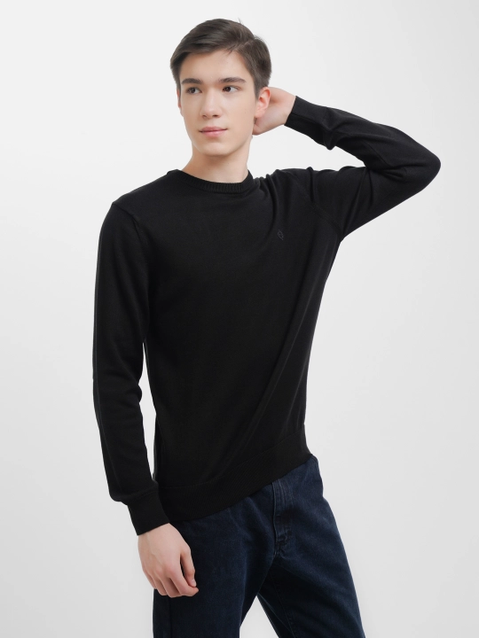 Мужской свитер Fabiani 3KE9TRK9320