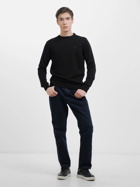 Мужской свитер Fabiani 3KE9TRK9320