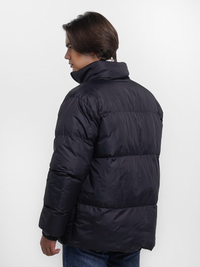 Juda kichik eshak videoda Katta Dik Lesli Zen