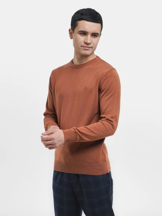 Мужской свитер Fabiani 3KE9TRK9320