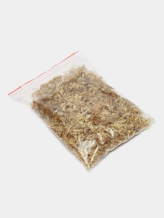 Mox Sfagnum, 1 paketcha