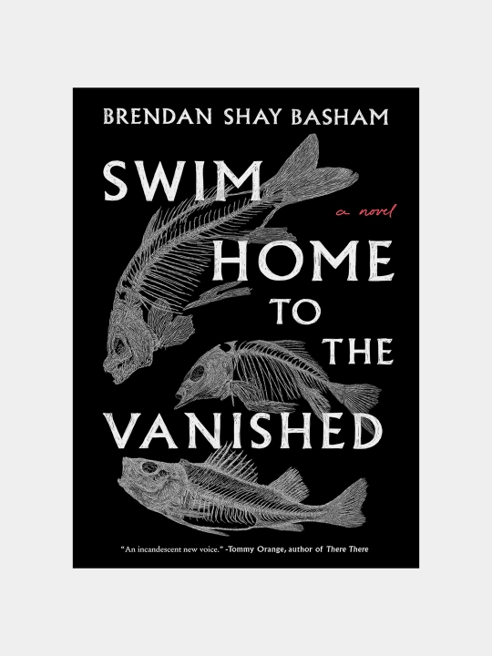 Swim Home to the Vanished. Brendan Shey Beshem - 