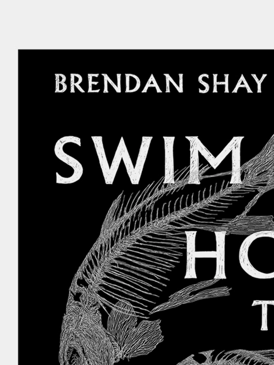 Swim Home to the Vanished. Brendan Shey Beshem