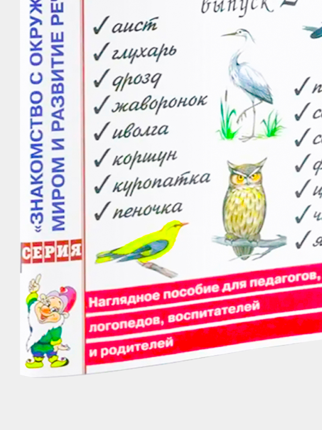 Птицы в картинках: наглядное пособие для педагогов, логоп купить по низким  ценам в интернет-магазине Uzum (867328)