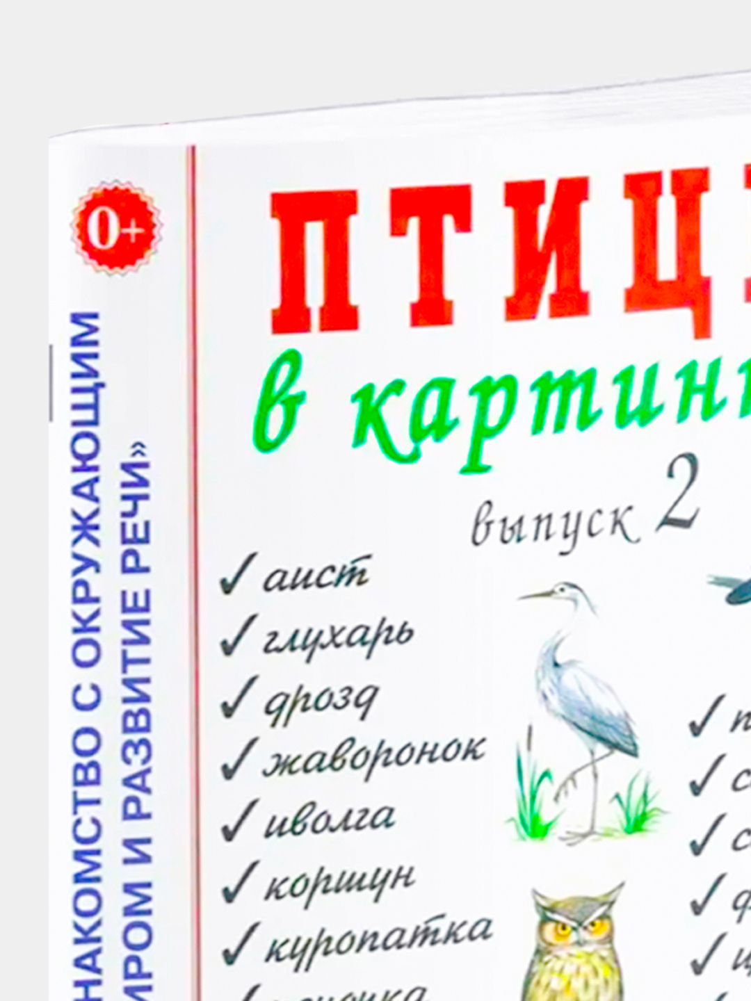 Птицы в картинках: наглядное пособие для педагогов, логоп купить по низким  ценам в интернет-магазине Uzum (867328)