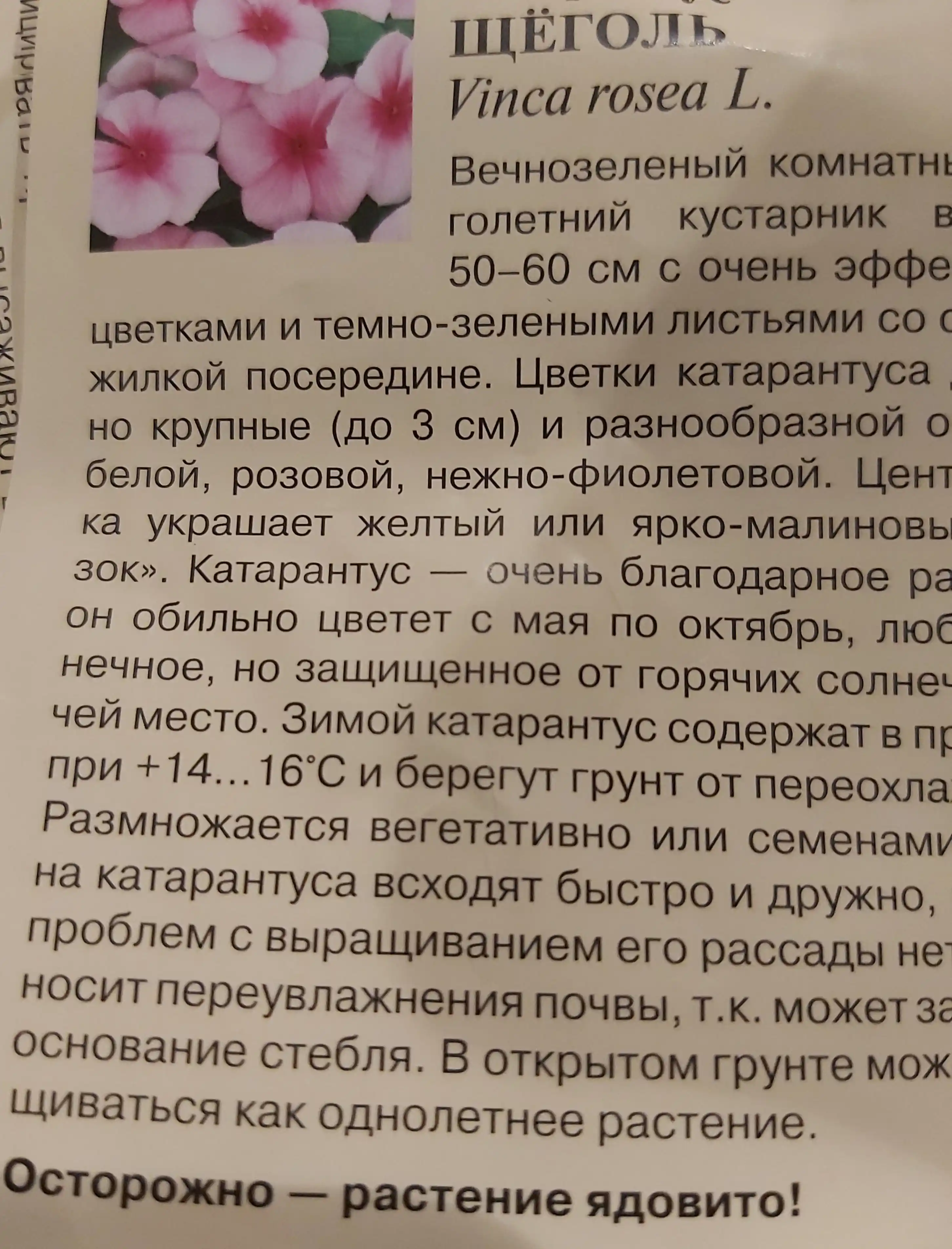 Семена Барвинок розовый, катарантус, щеголь, 0.05 г, гавриш, цветочная коллекция