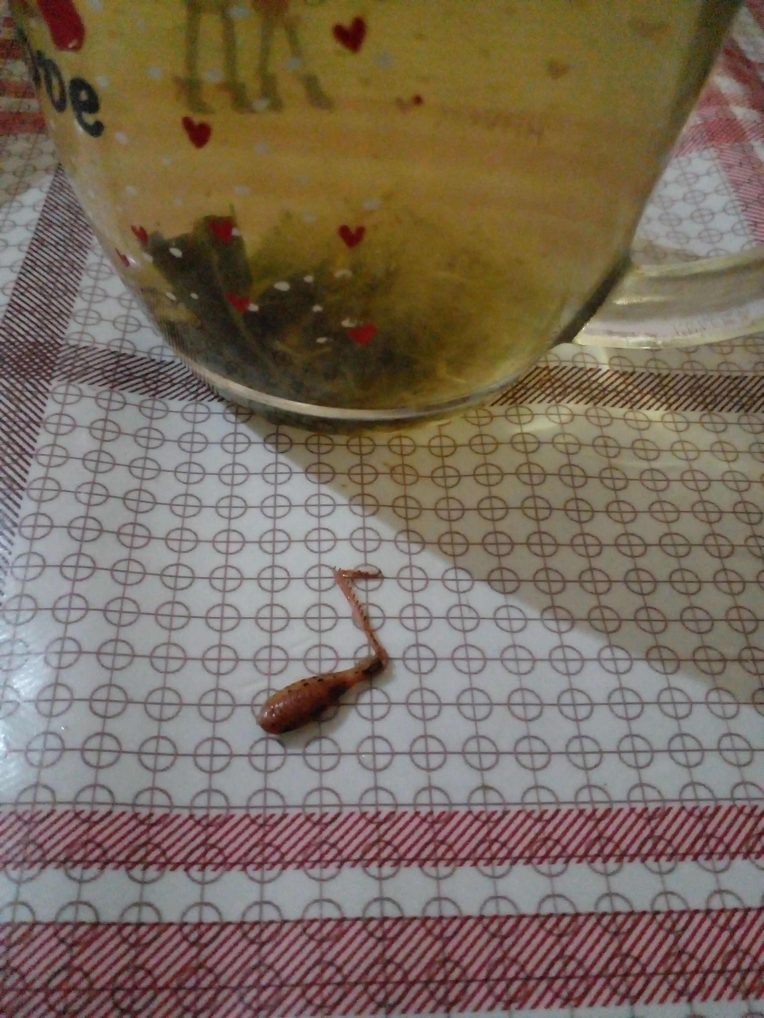 Bargli yashil choy O'simlik aralashmasi, Rastaropsha Ihlos, 50 g