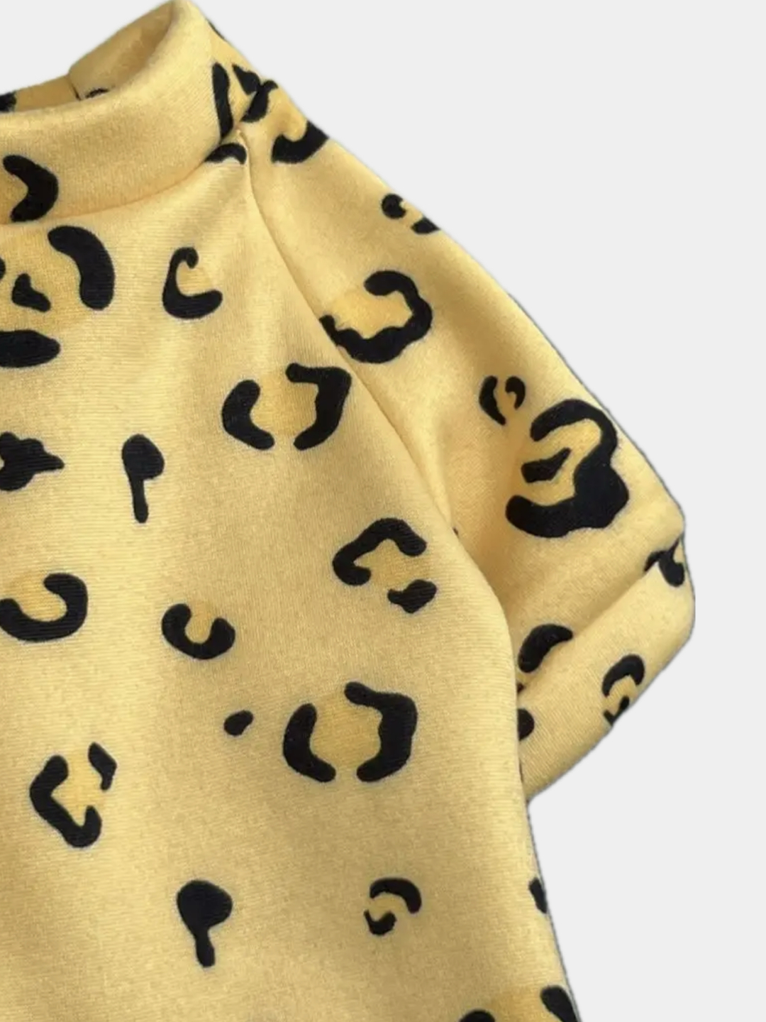 Mushukning yuqori sifatli sol fotosurati