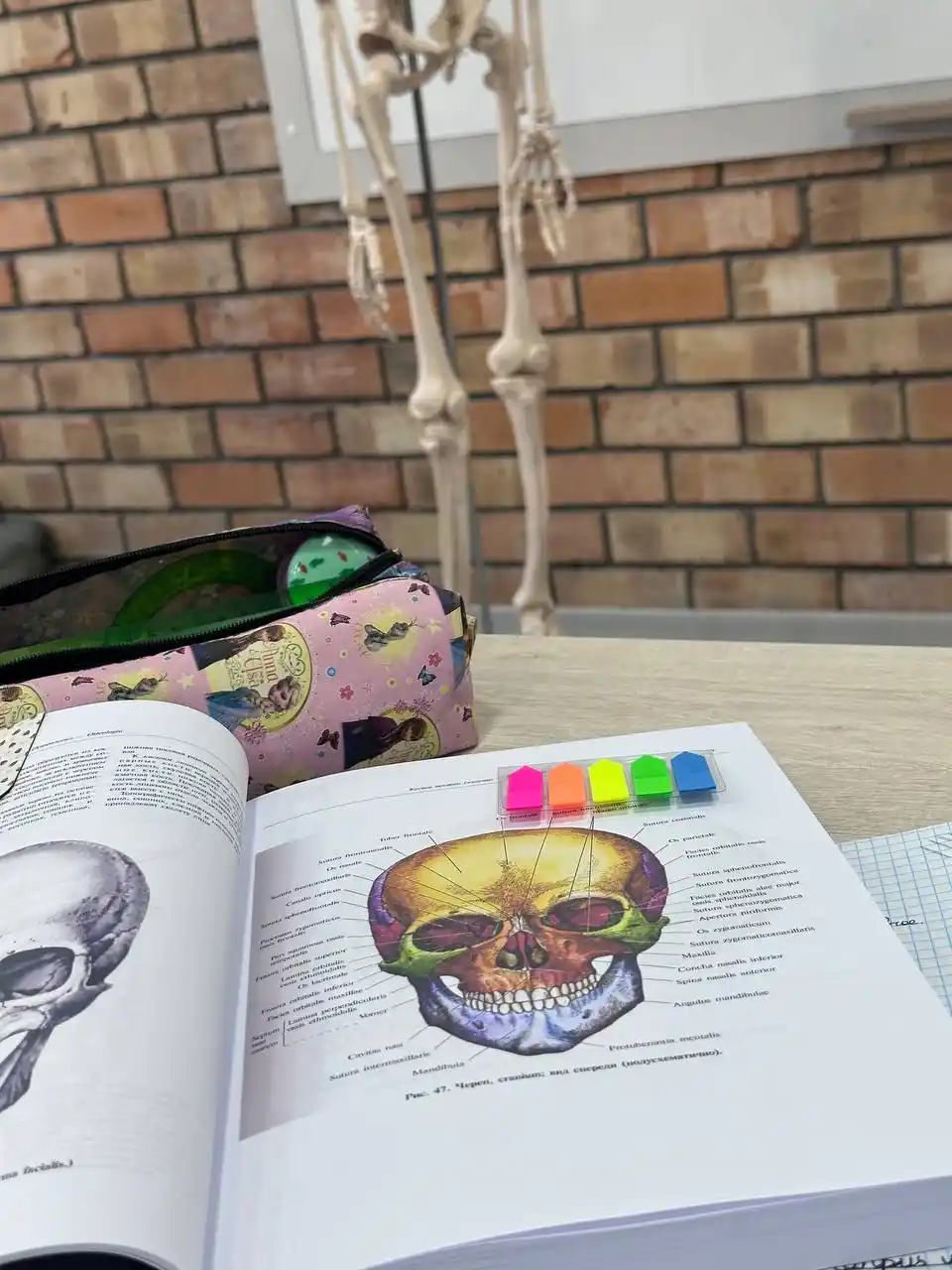 Atlas anatomii cheloveka. Sinel'nikov. Tom 2