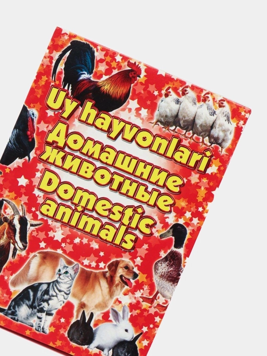 Развивающие и обучающие карточки для дошколят, школьников и родителей