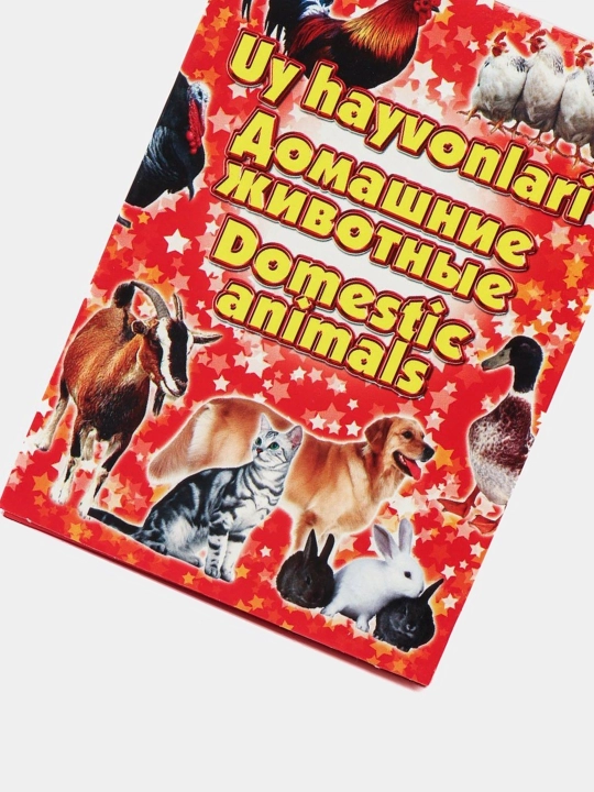 Развивающие и обучающие карточки для дошколят, школьников и родителей
