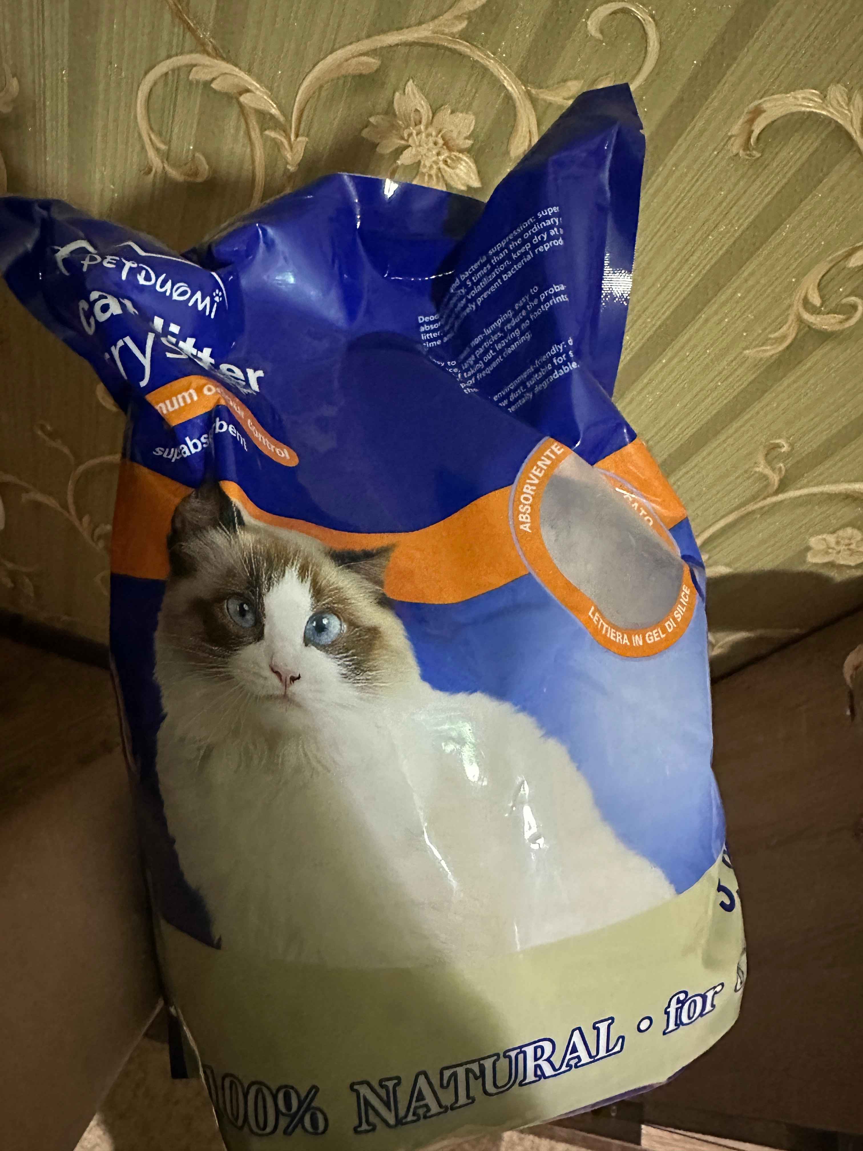 Ular mushukni mixlab qoyishdi