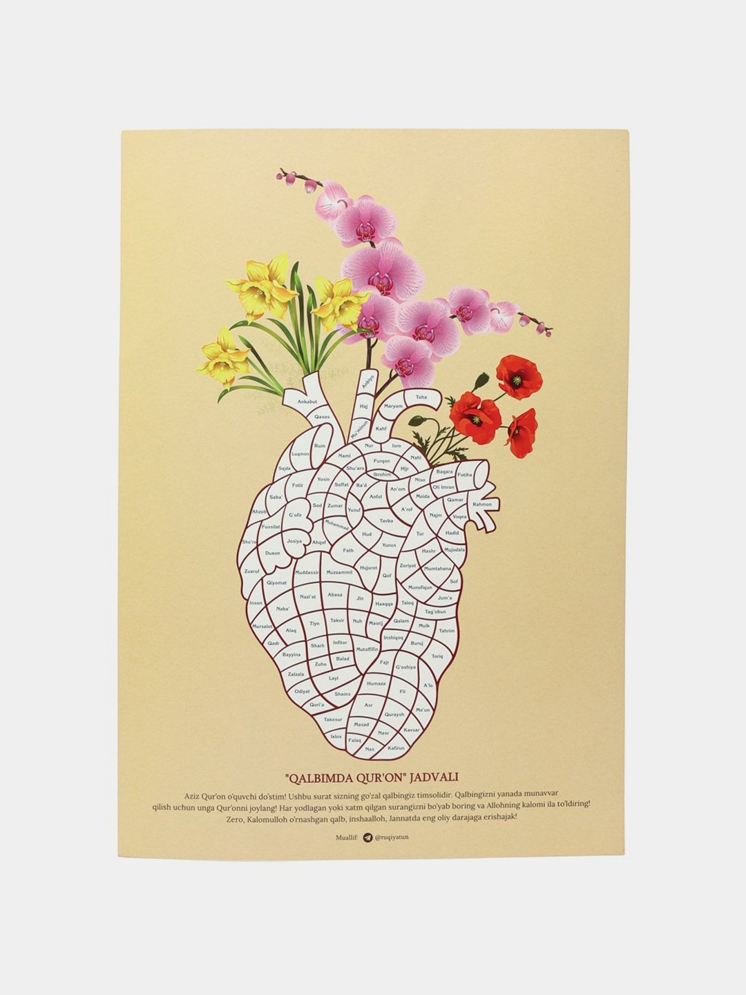 Jamoat transportida ayollarni paypaslagani videosi