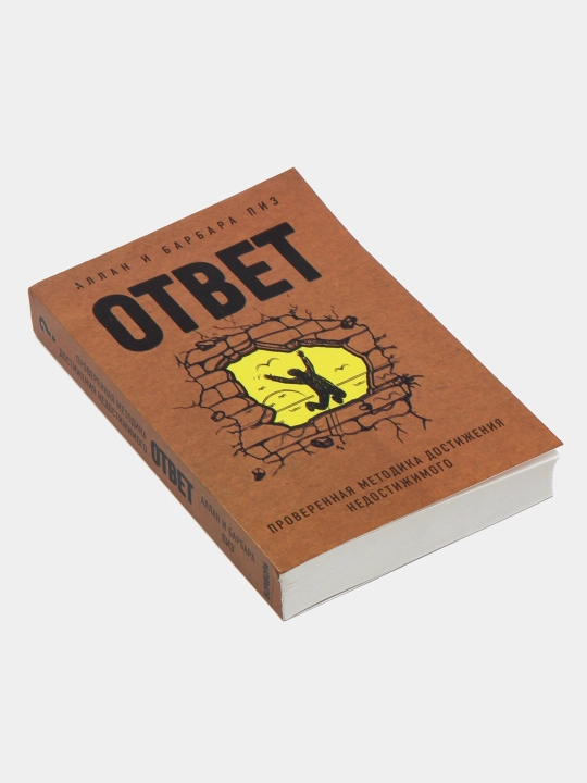 Ответ, проверенная методика достижения недостижимого, Аллан и Барабар Пиз