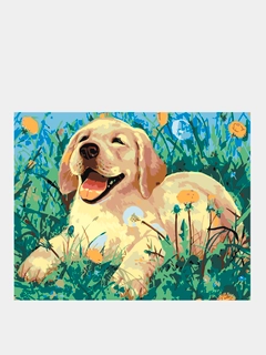 Qaymoq rang