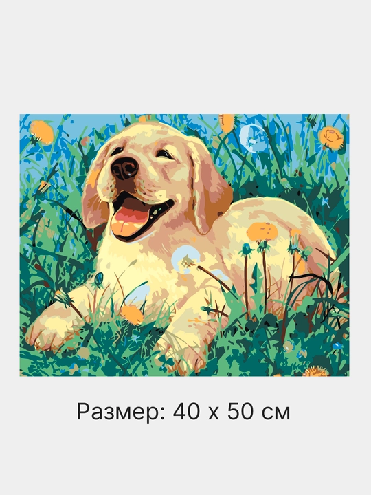 Raqamlar bo'yicha rasm chizish ARTERY Hayvonlar, holstda chizmachilik, 40 * 50 sm
