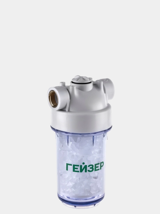Geyzer 1PFD magistral filtri, 1/2" quvurlar uchun, qizdiruvchi elementlarni himoya qiladi