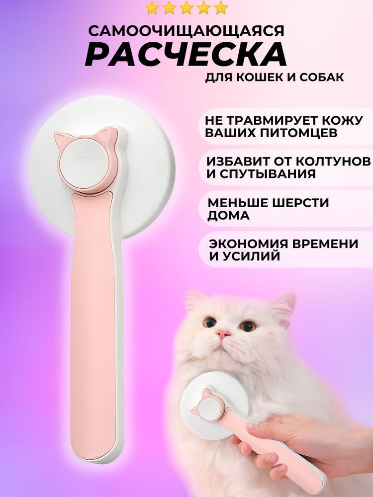 Epilasyon bilan mushuk