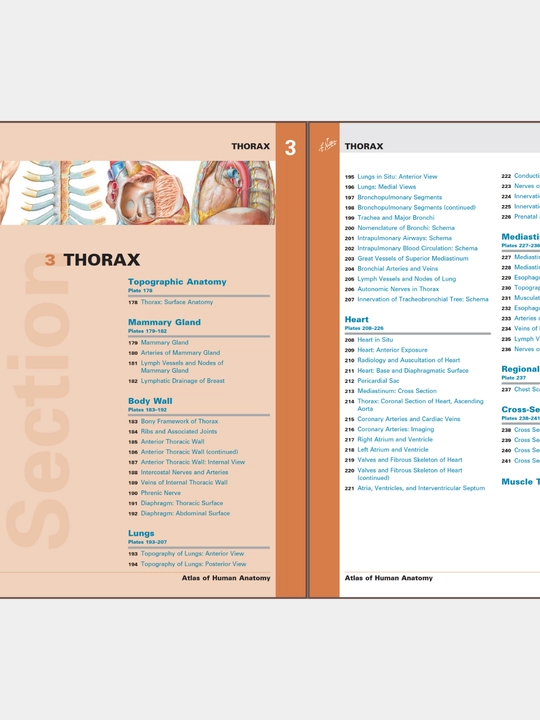 Tibbiyot kitobi, odam anatomiyasi atlasi, Atlas of Human Anatomy, Frank Netter, Meditsina