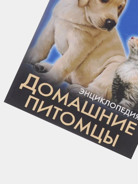 Домашние питомцы