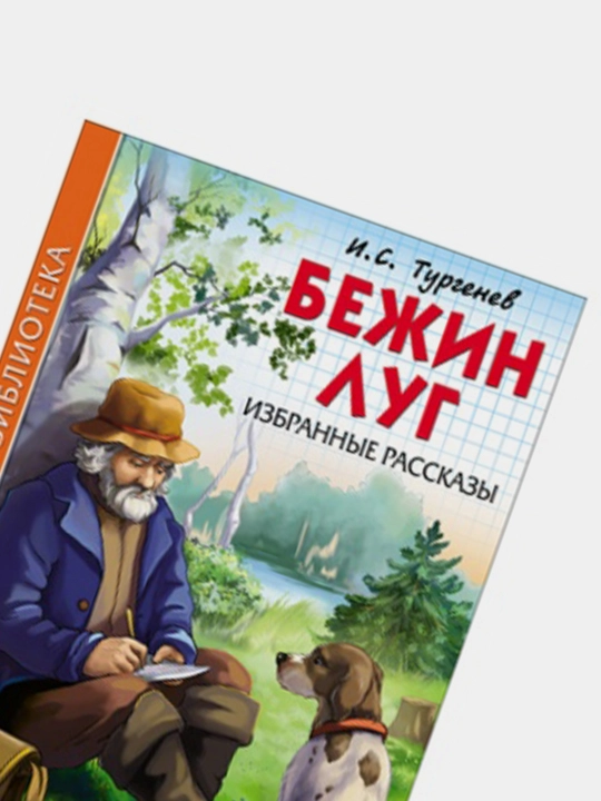 Bezhin lug. Izbrannyye rasskazy I.S. Turgenev
