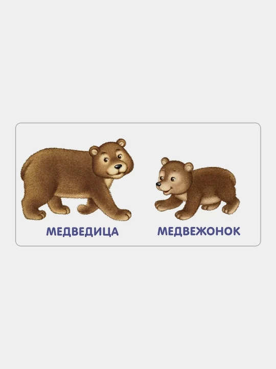 Knizhki-kartonki. Zhivotnyye i detenyshi