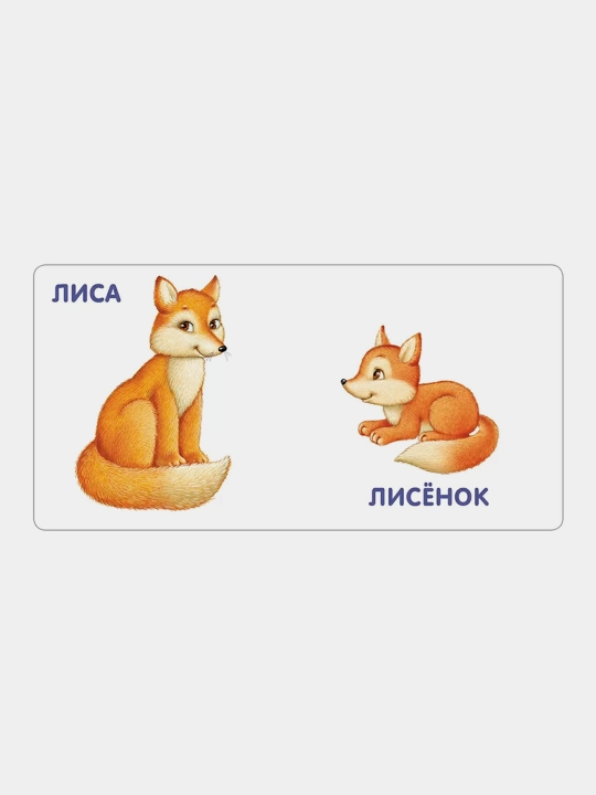 Knizhki-kartonki. Zhivotnyye i detenyshi