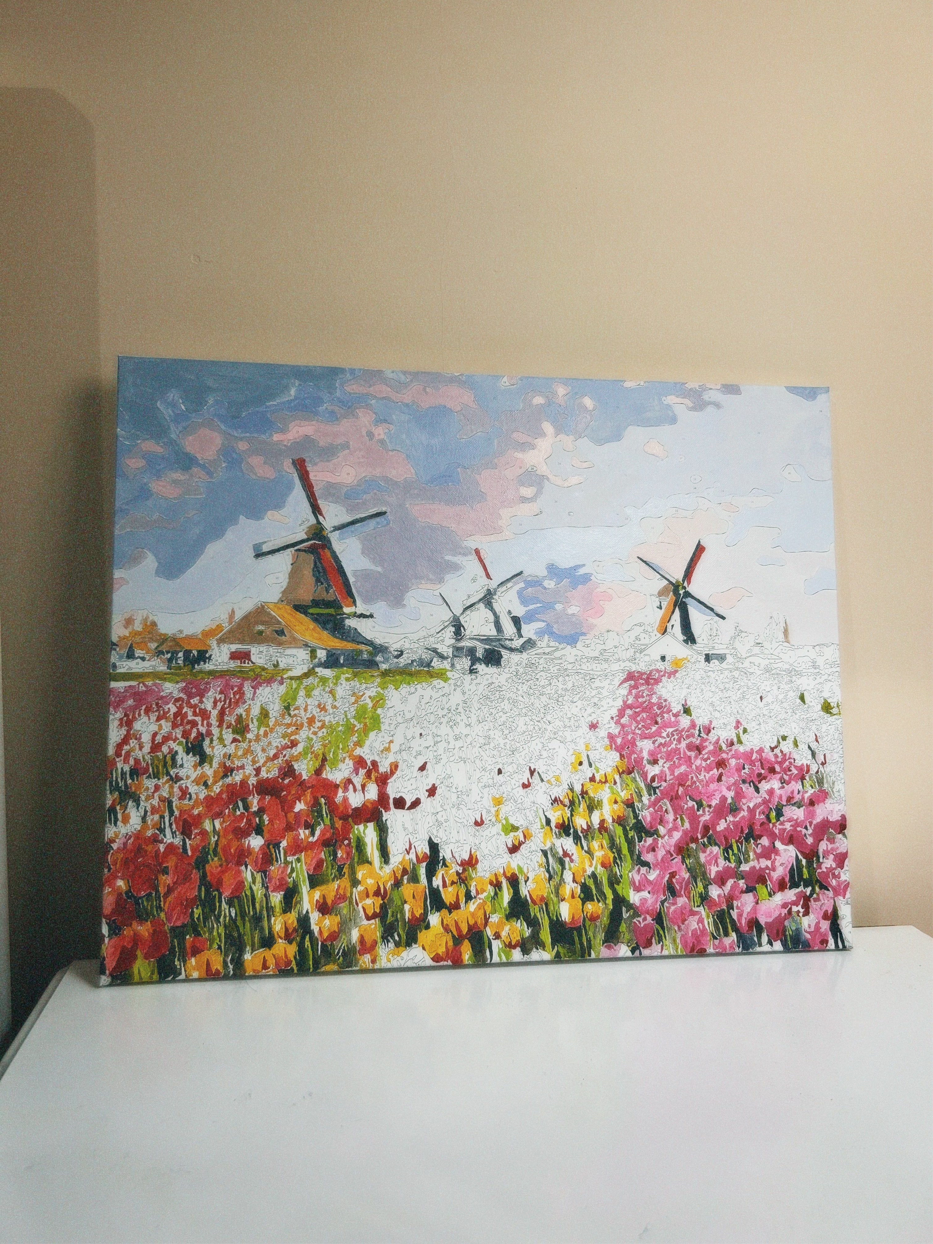 Raqamlar bo'yicha bo'yash "Peyzajlar va tabiat", ramkaga tortilgan, 40 * 50 sm
