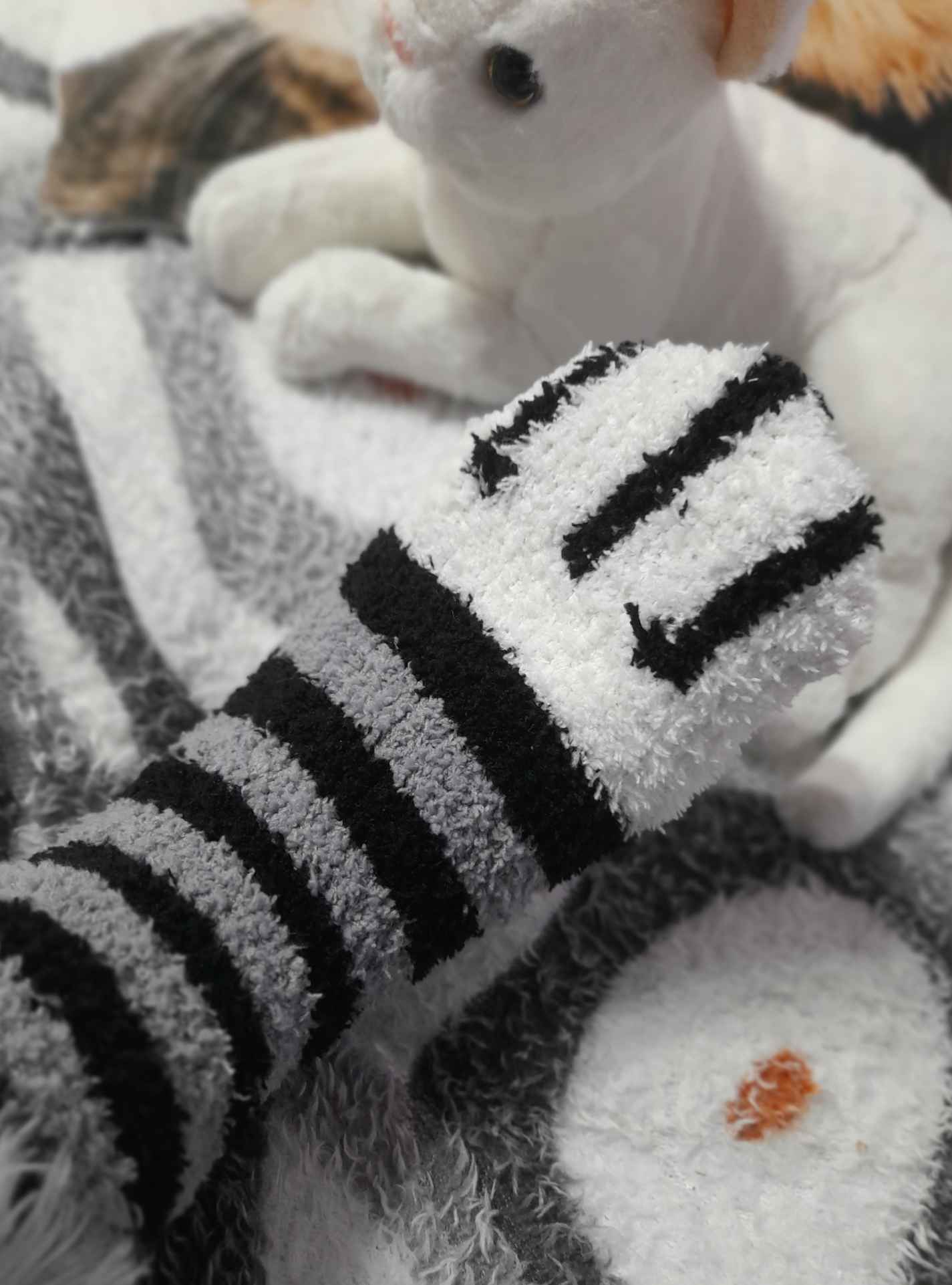 Qaynonamning gozal mushukining yaqindan olingan surati