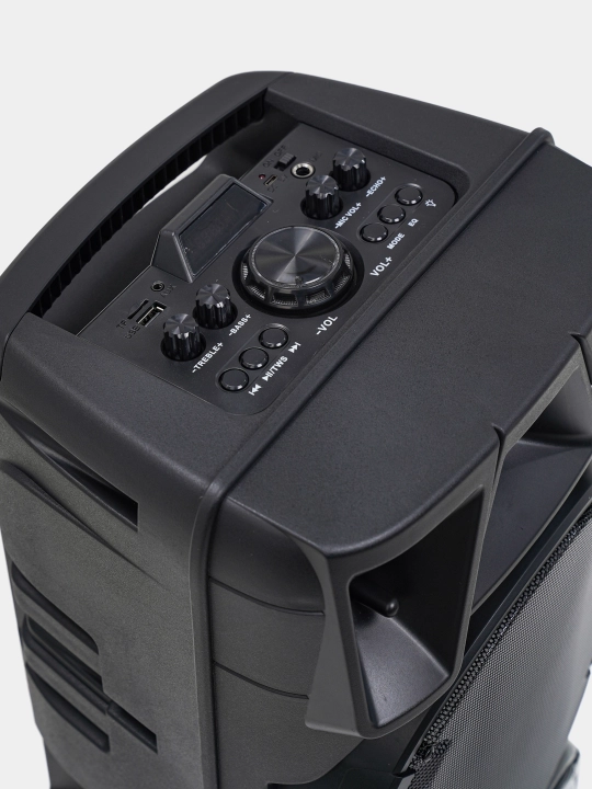 Simsiz portativ kolonka ZQS8210 Bluetooth, simsiz кaraoke mikrofoni bilan, 80 sm