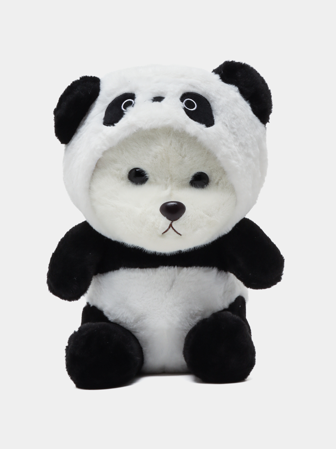 Porno mushuk chekish