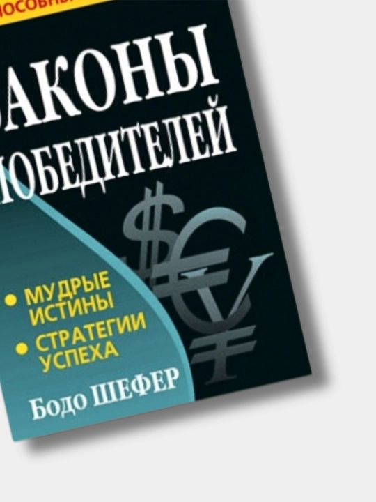 Законы победителей, Бодо Шефер