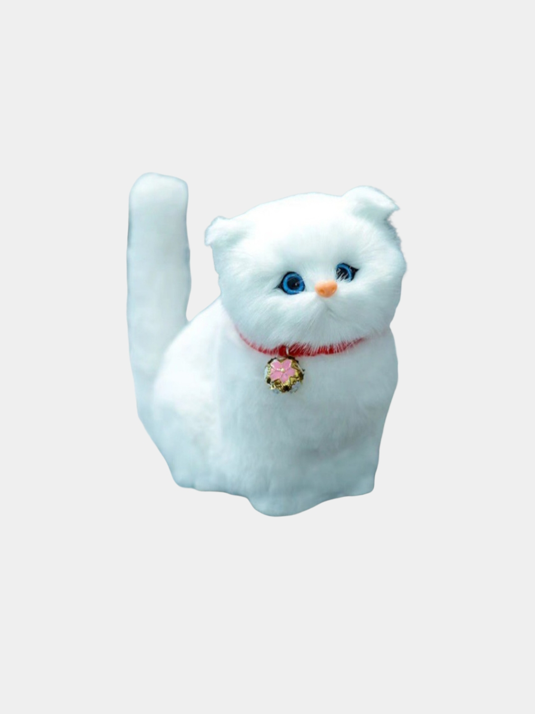 Siktyvkarda bir kunlik jinsiy aloqa Yosh qoramagiz