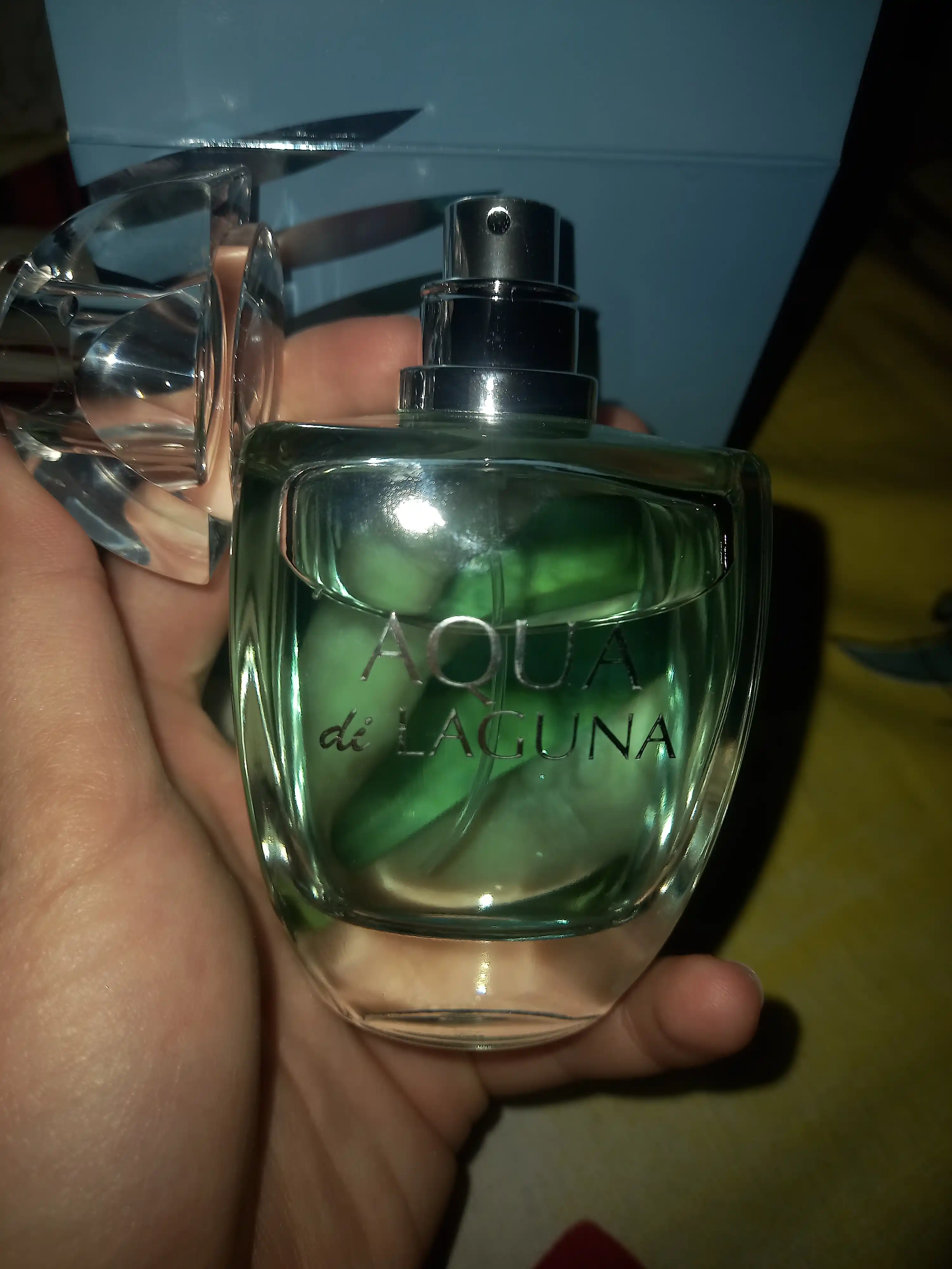 Parfyumlangan suv Dilis Aqua di Laguna ayollar uchun, 100 ml