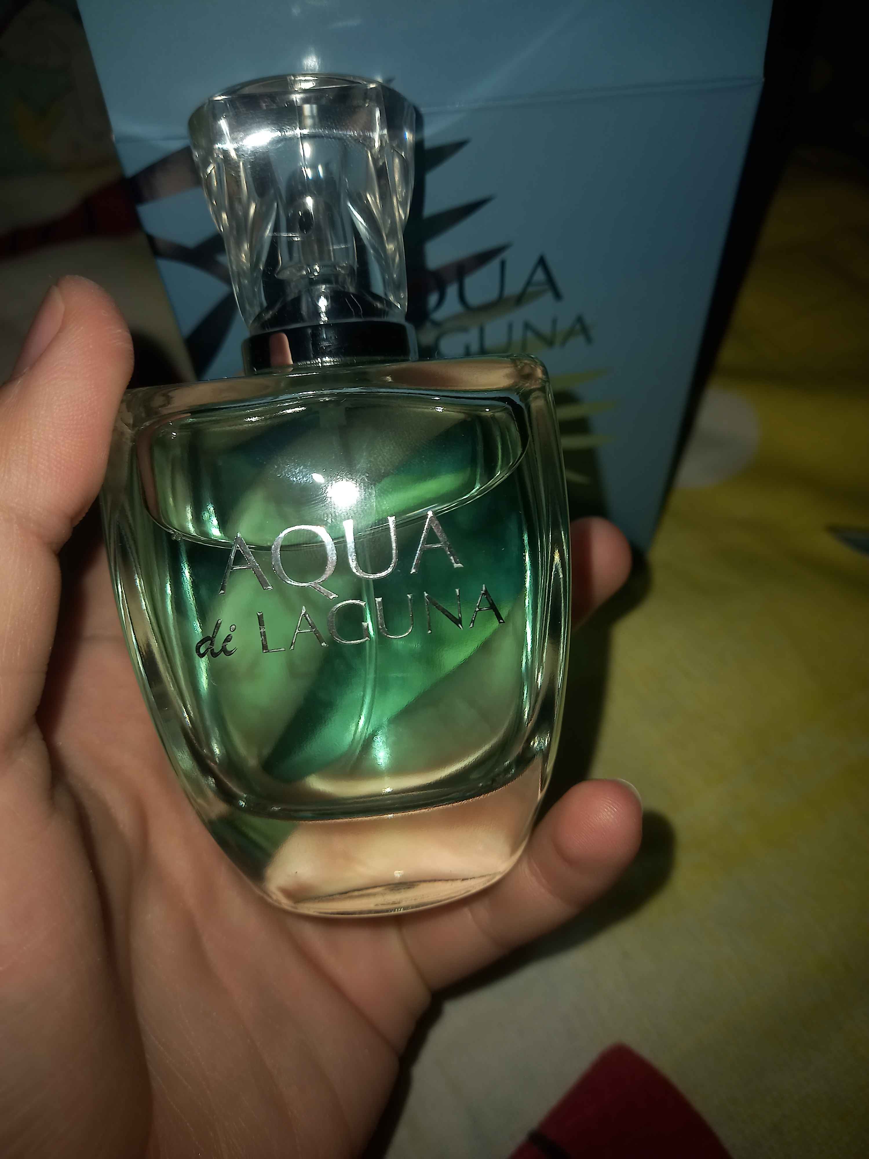 Parfyumlangan suv Dilis Aqua di Laguna ayollar uchun, 100 ml