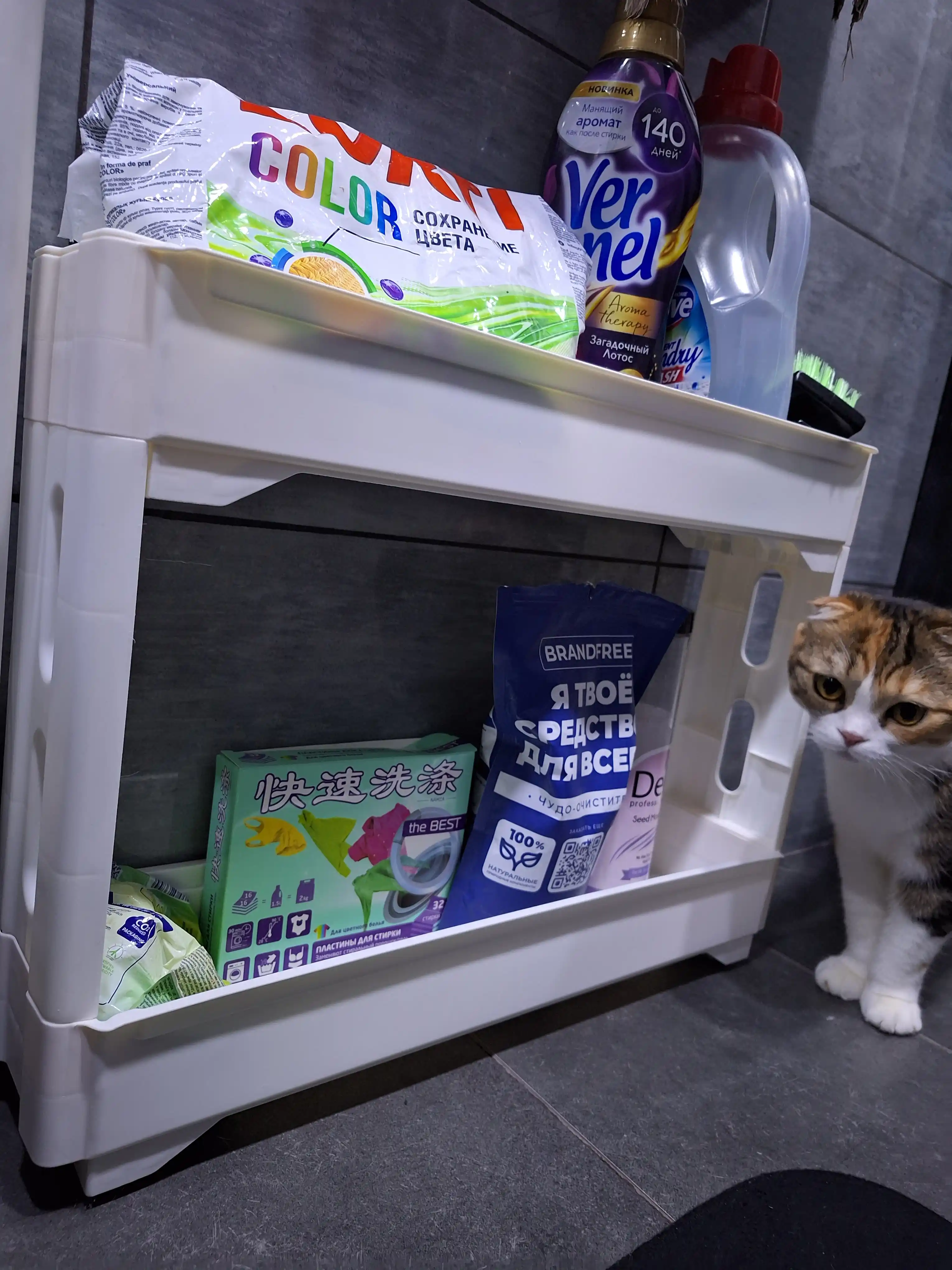 Keeplex Regula g'ildiraklaridagi oshxona va hammom uchun tor plastik polli tokcha
