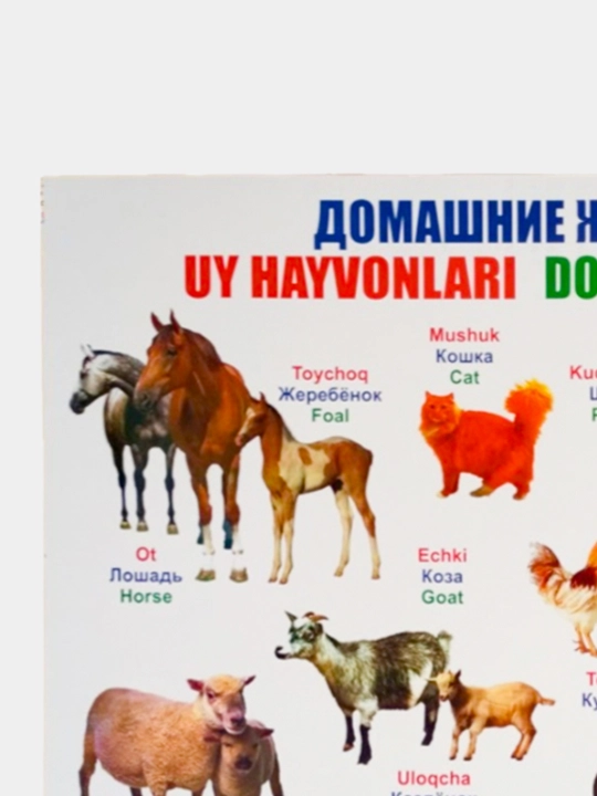 Обучающий плакат для детей, азбука в картинках, цифры, карта мира, карта Узбекистана