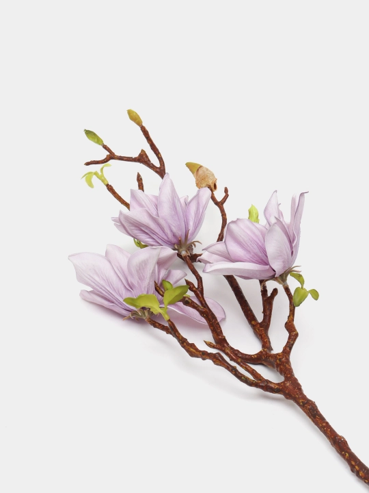 Sun'iy magnoliya, 70 sm, 8 xil rang