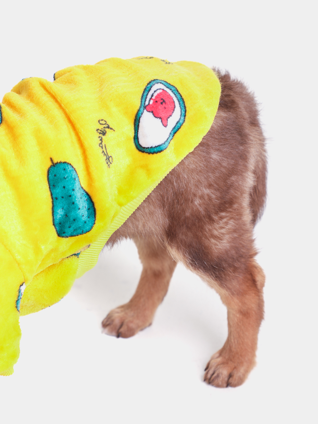 Klassik porno filmlar kelin