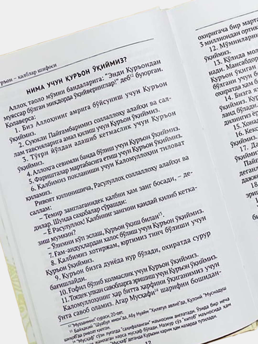 Kattalar uchun katta porno