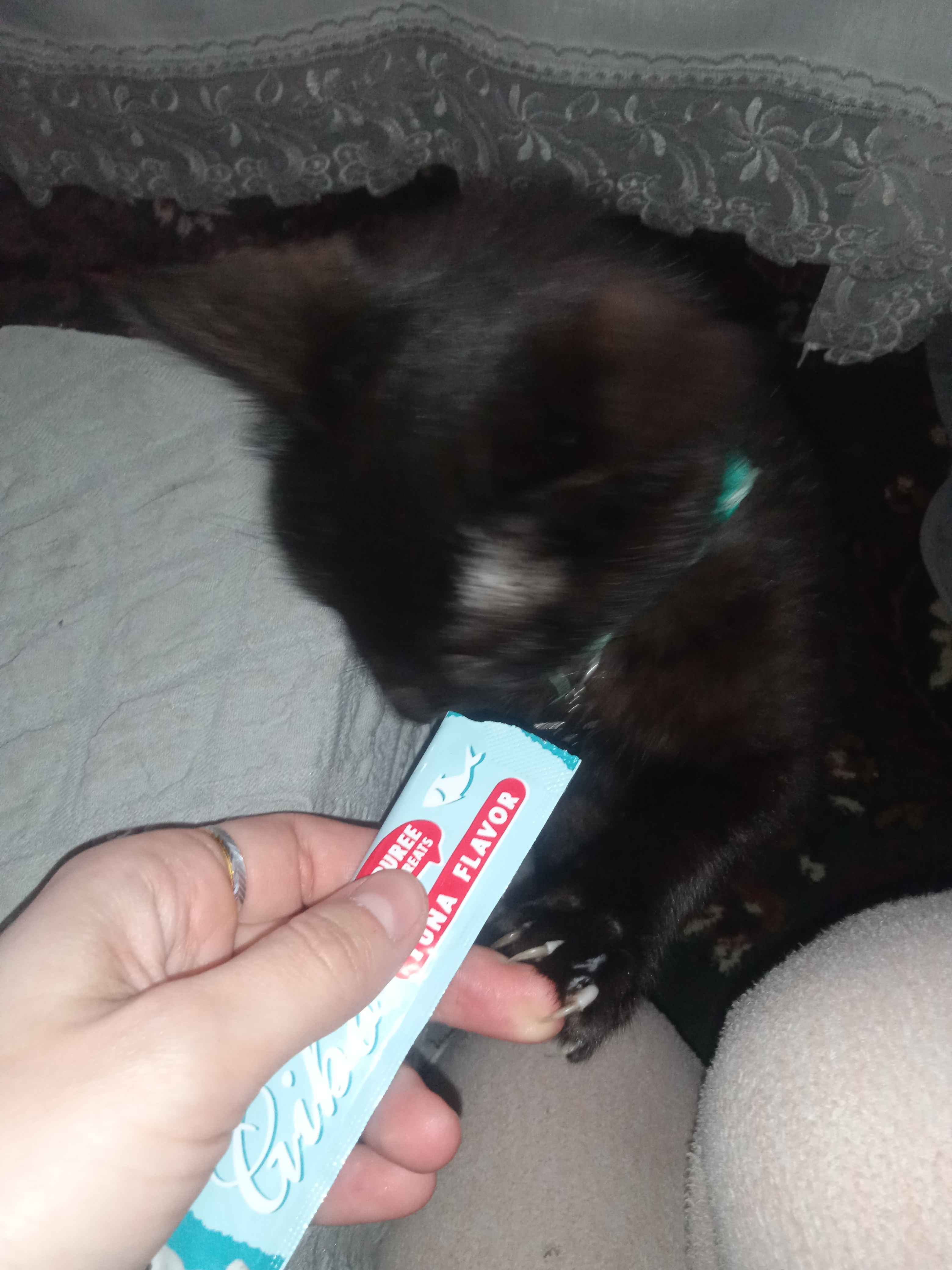 Mushuk kremi Mushuk kremi