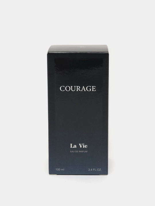 Парфюмерная вода Dilis Courage для мужчин, 100 мл - 