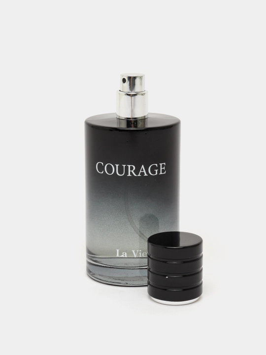 Парфюмерная вода Dilis Courage для мужчин, 100 мл