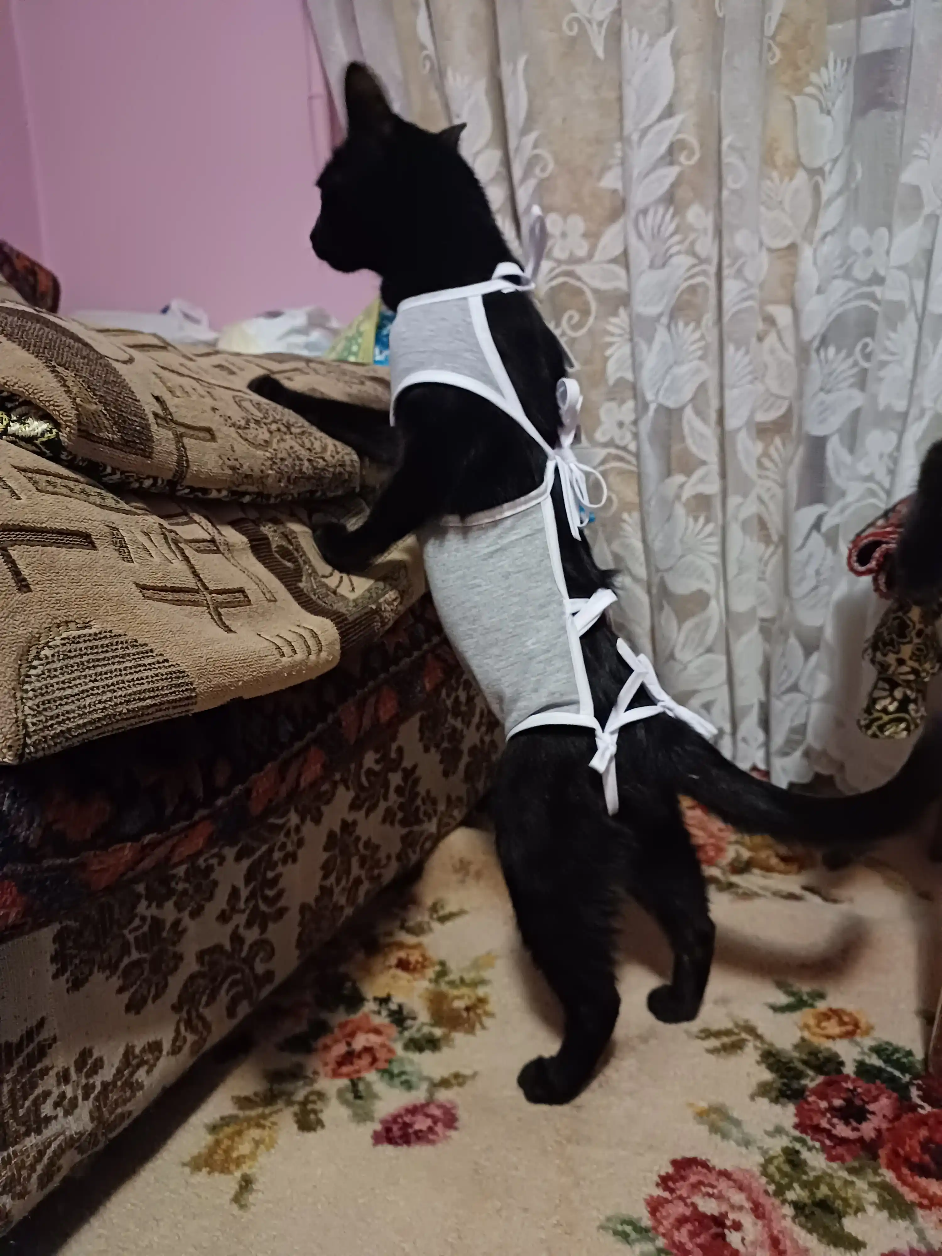 Послеоперационная попона для кошек