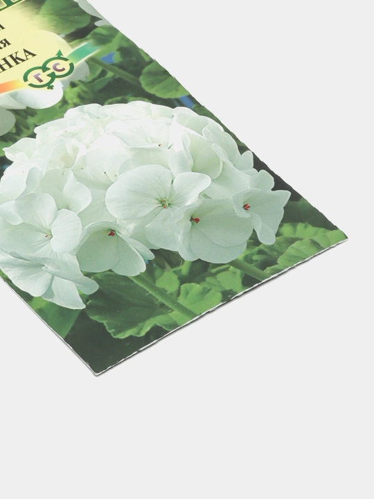 Pelargonium urug'lari zonal shakl F1, 4 dona, 4602052