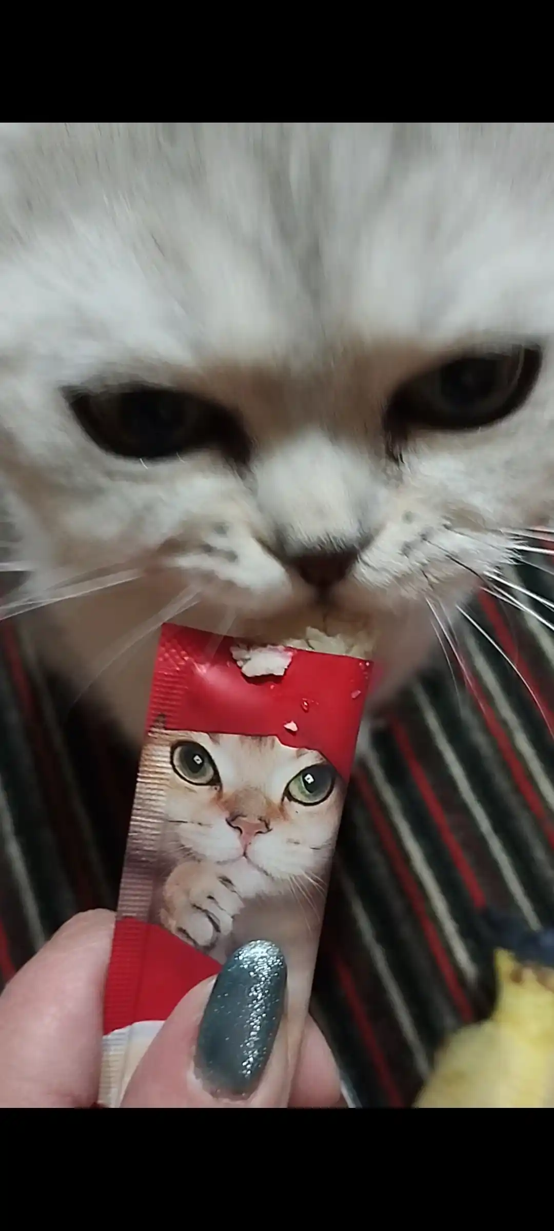 Shirinlik mushuklar uchun Pet Snacks, 60 dona korobkada
