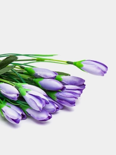 Lavanda